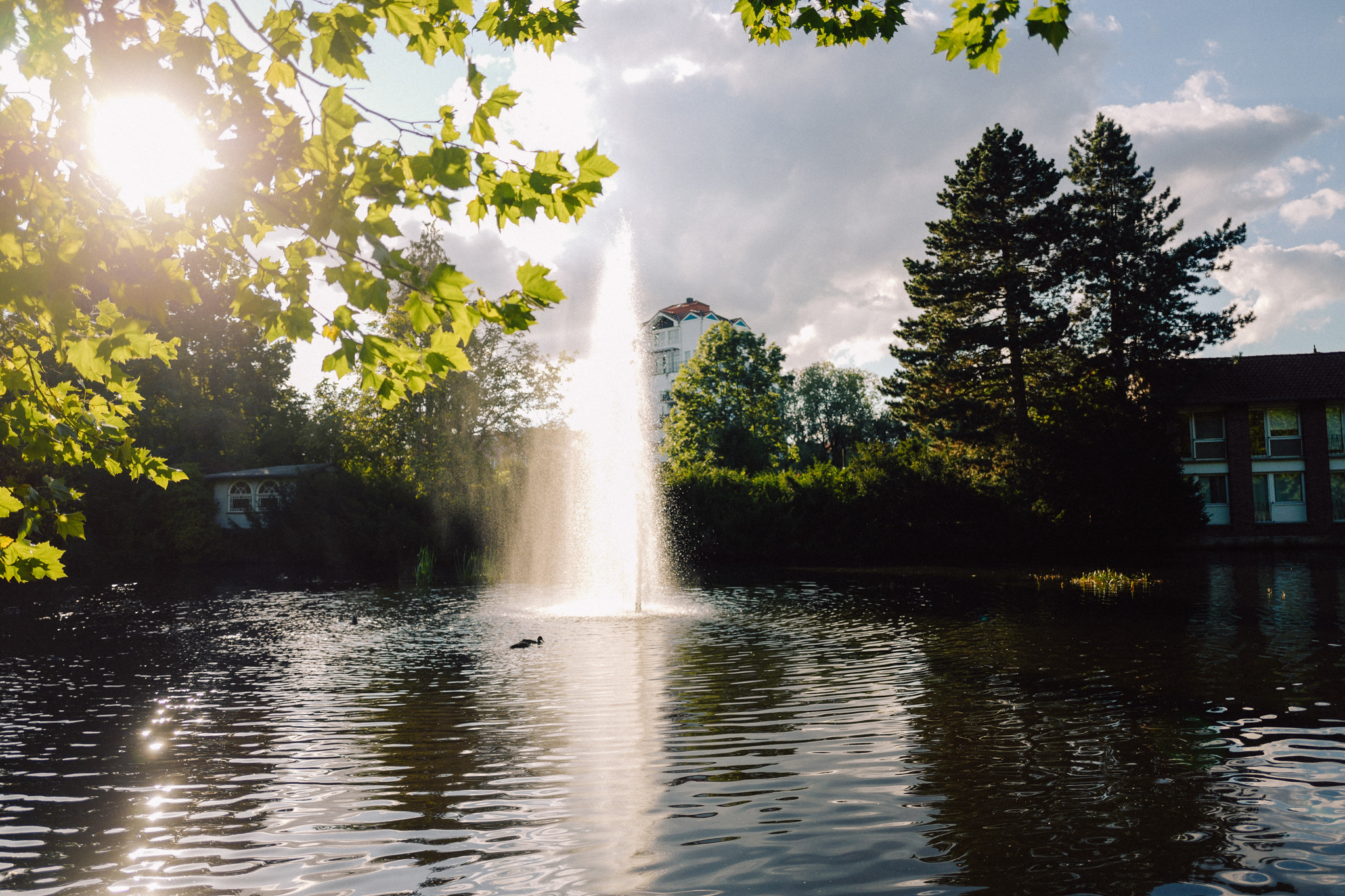 Ein See mit Fokus auf die Fontäne in der Mitte, angestrahlt von der Sonne, daneben grüne Blätter der Bäume & ein paar Häuser.