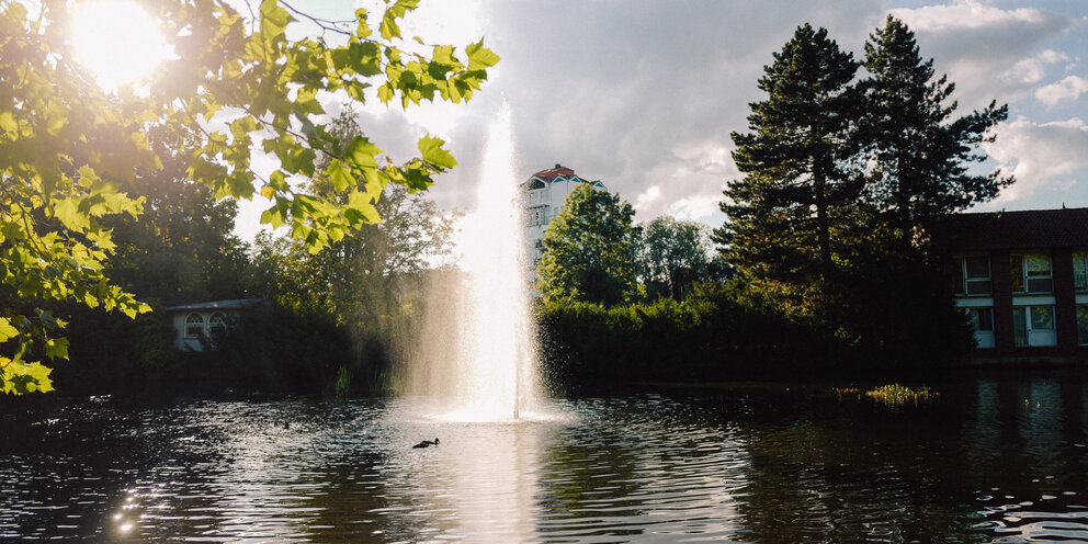 Ein See mit Fokus auf die Fontäne in der Mitte, angestrahlt von der Sonne, daneben grüne Blätter der Bäume & ein paar Häuser.