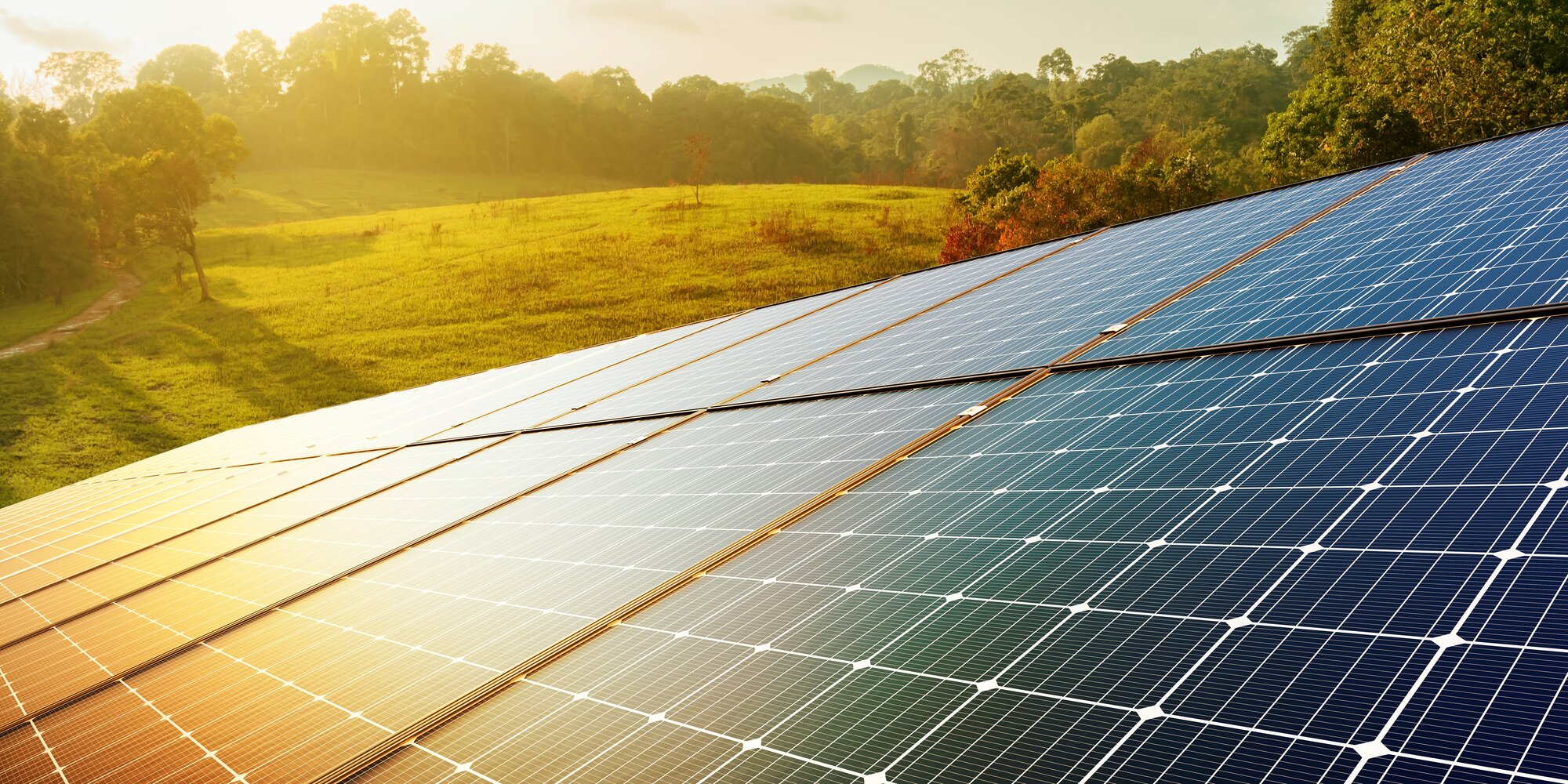Eine Photovoltaik Solaranlage als Solarpark steht in einem grünen Gebiet